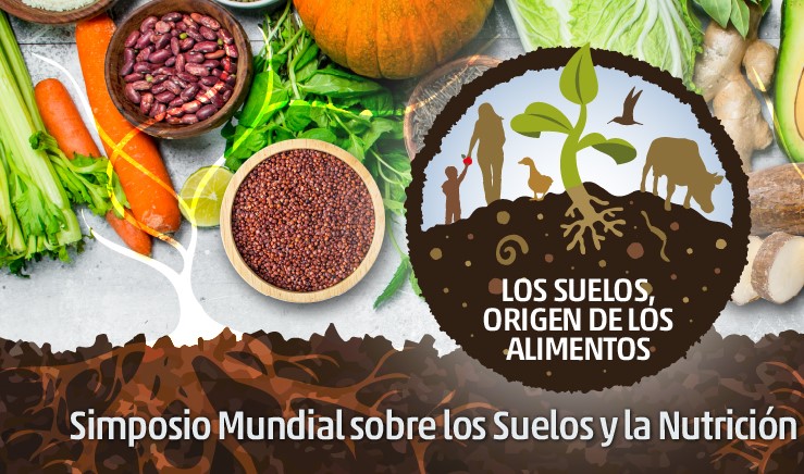 simposio suelo