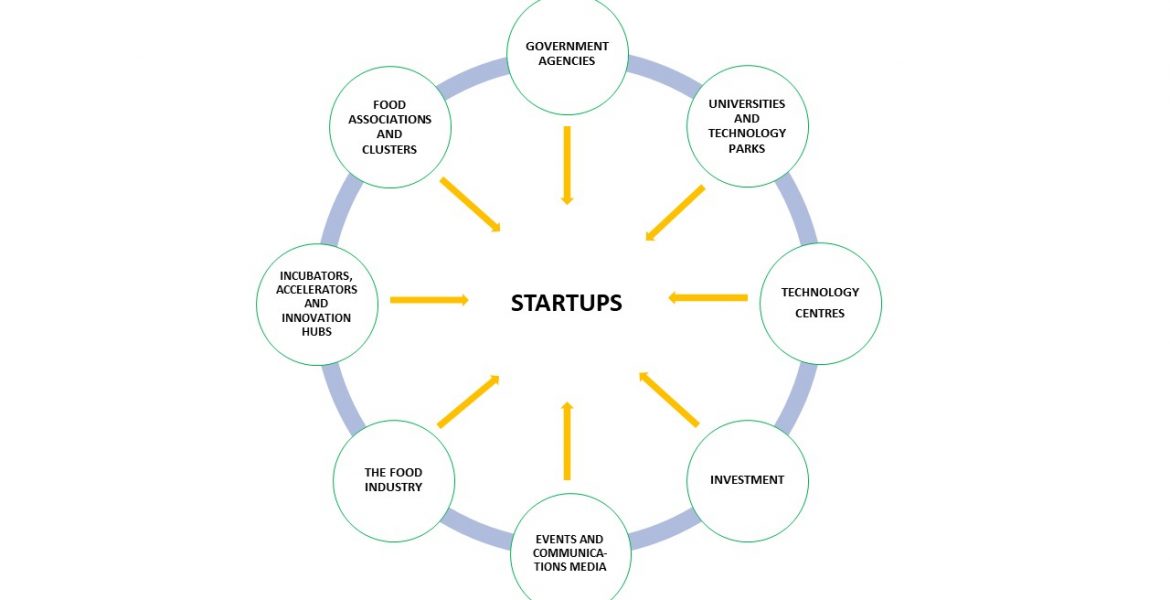 startup