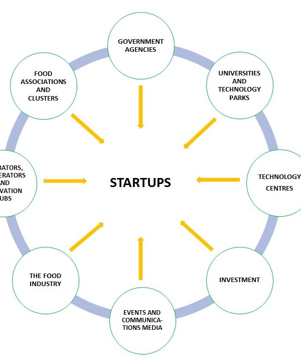 startup