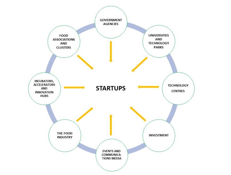 startup
