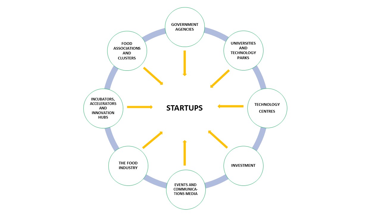 startup