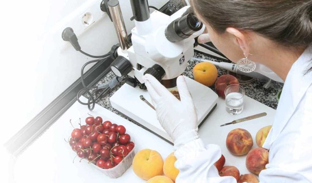 Agrofresh biosoluciones