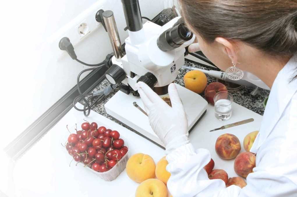 Agrofresh biosoluciones