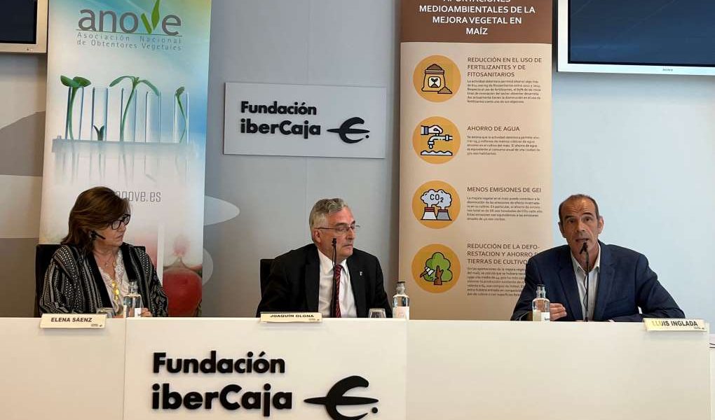 Presentación Informe Cerdà Maíz
