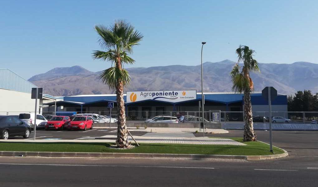 Grupo agroponiente
