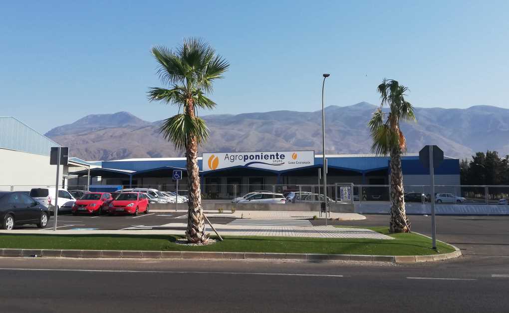 Grupo agroponiente