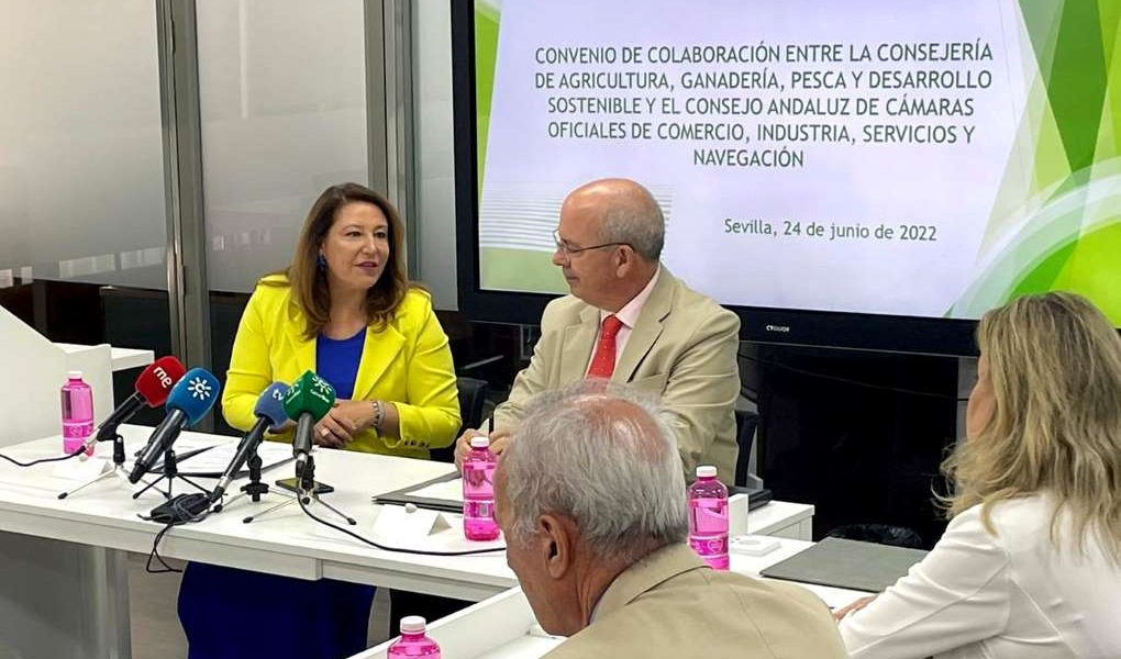 camaras de comercio