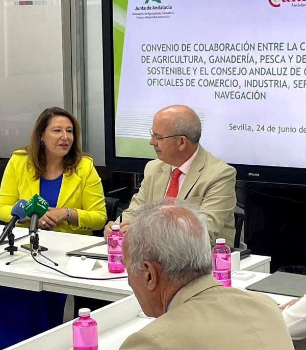 camaras de comercio