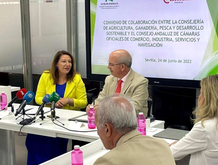 camaras de comercio