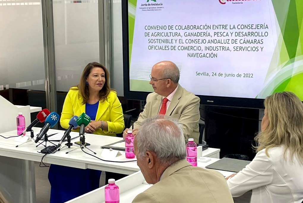 camaras de comercio