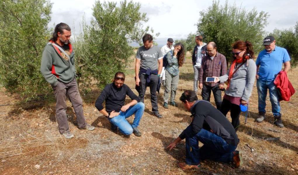 agricultura regenerativa