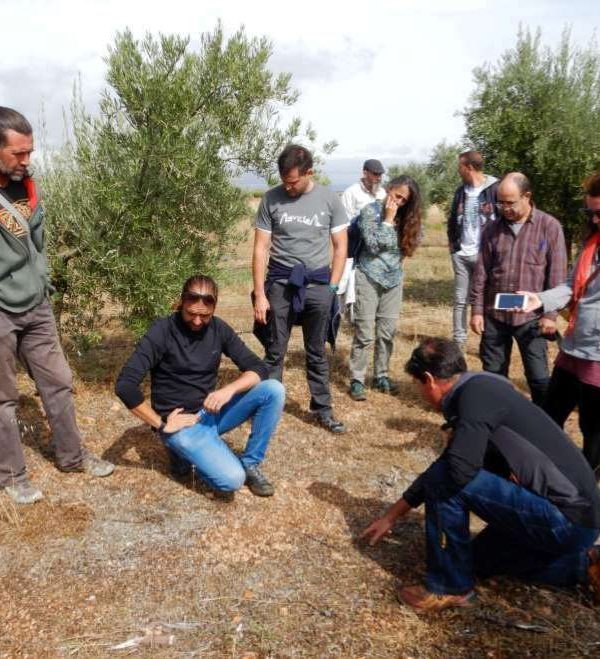 agricultura regenerativa