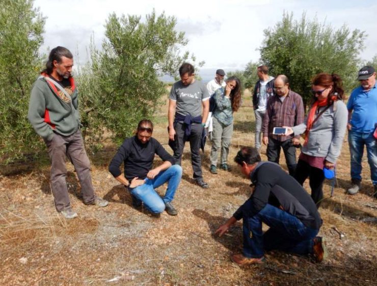 agricultura regenerativa