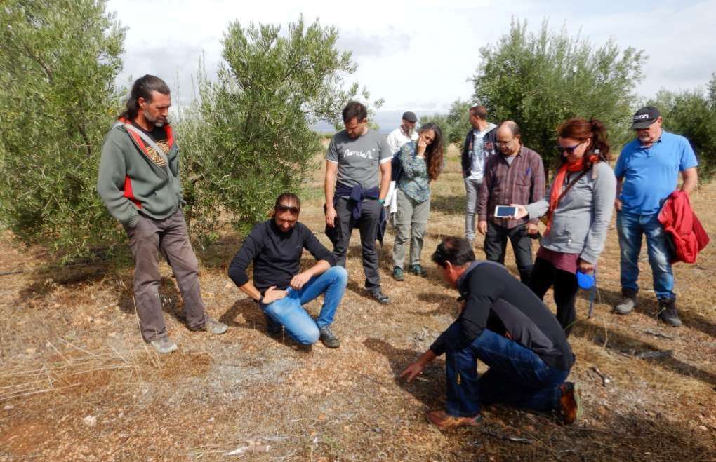 agricultura regenerativa