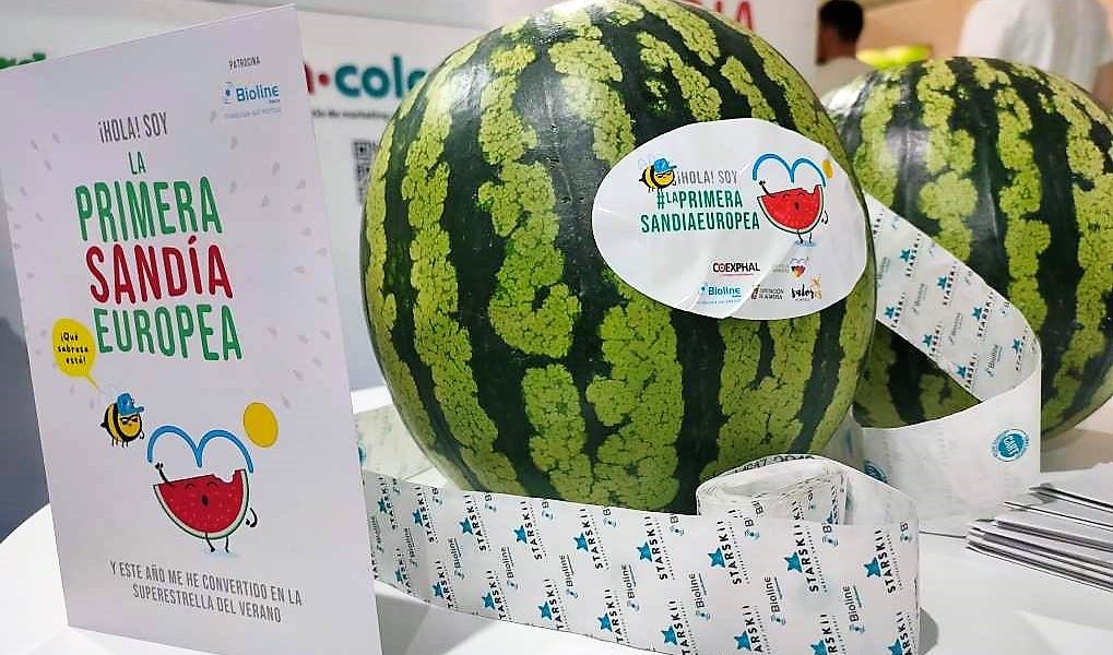 la primera sandía