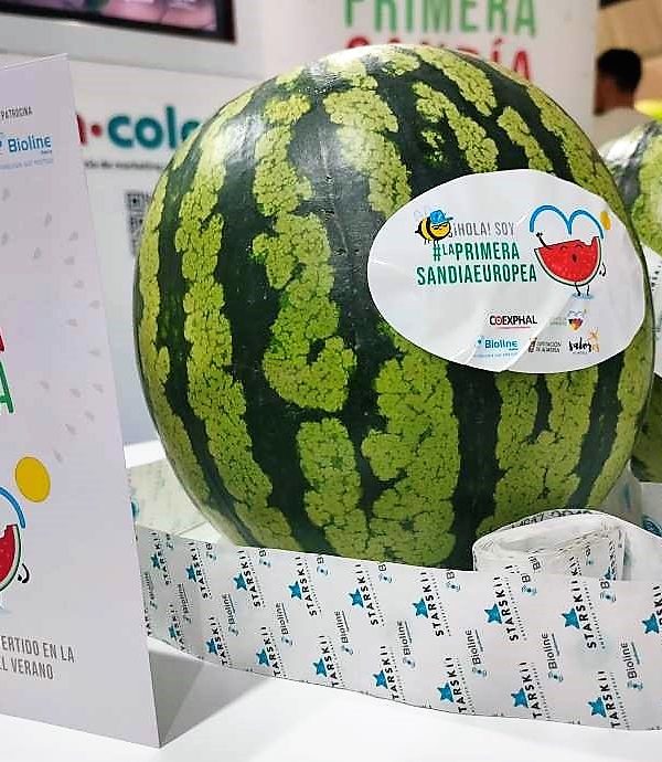 la primera sandía