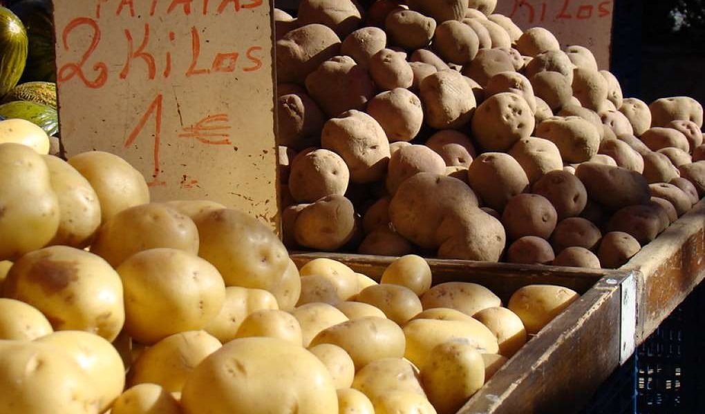 patatas importación