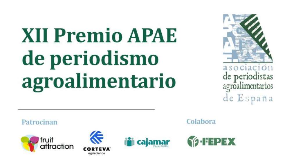 premio periodismo