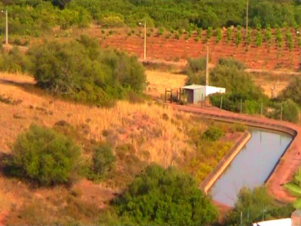 rural