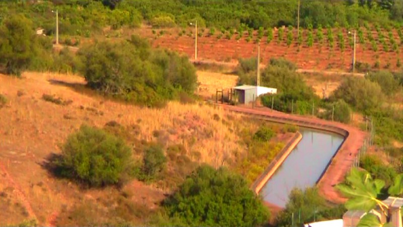 rural