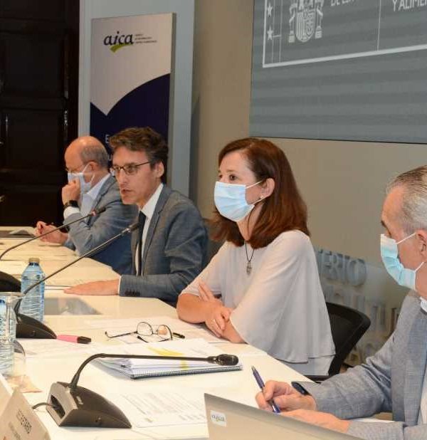 informe AICA
