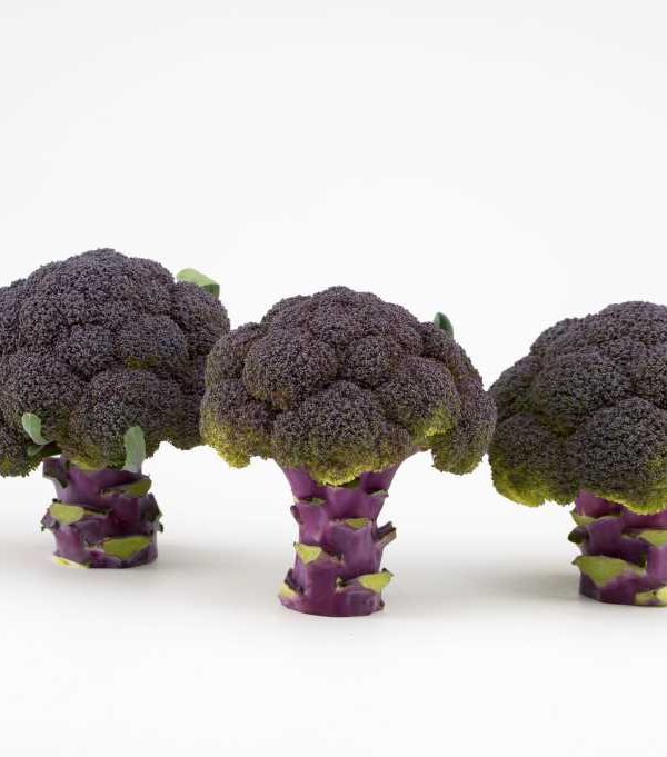 Brocoli morado