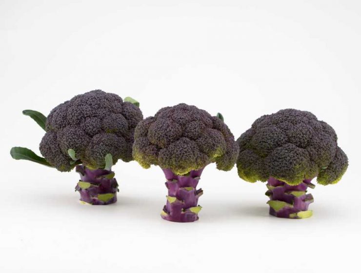 Brocoli morado