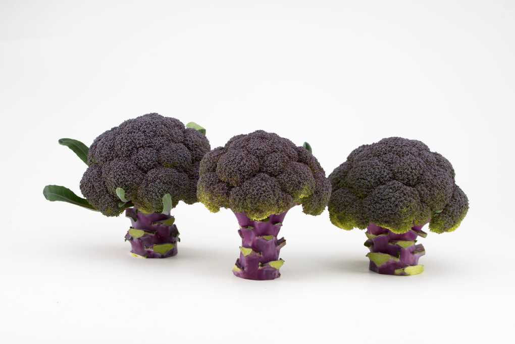 Brocoli morado