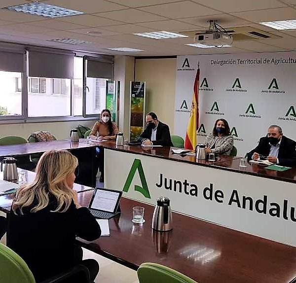 EXTENSIÓN DE NORMA