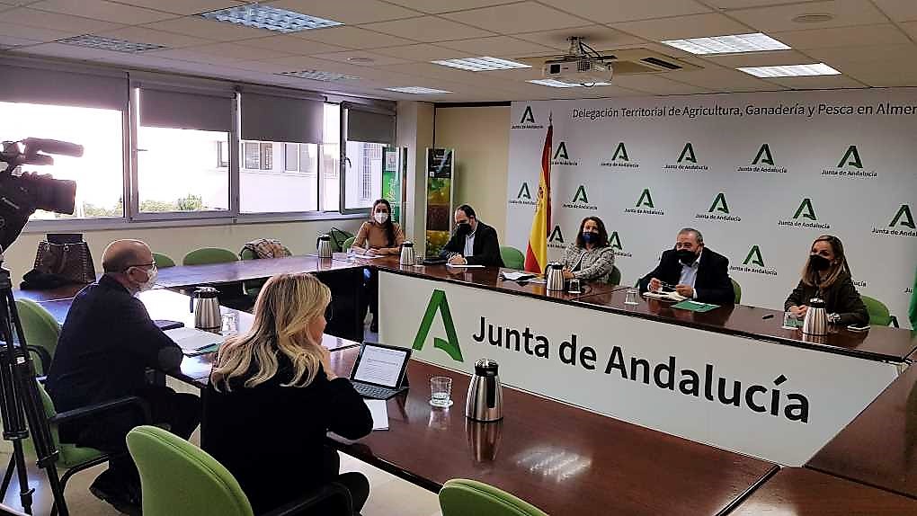 EXTENSIÓN DE NORMA