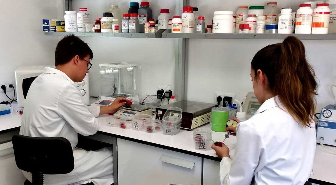 Ifapa investigadores