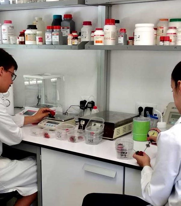Ifapa investigadores