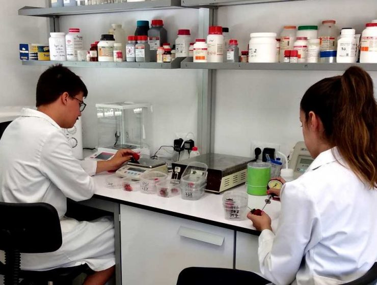 Ifapa investigadores