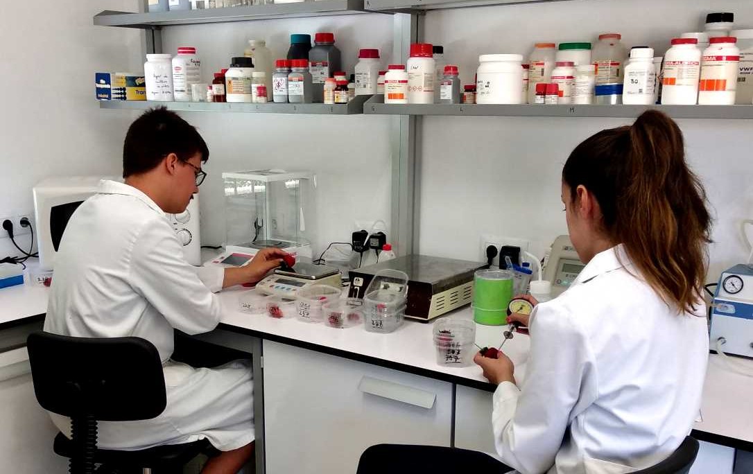 Ifapa investigadores