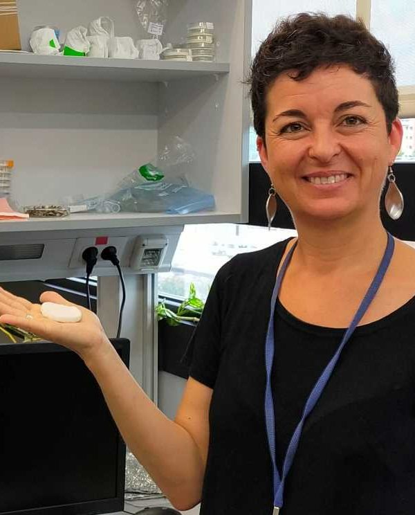 amparo lopez aerogel