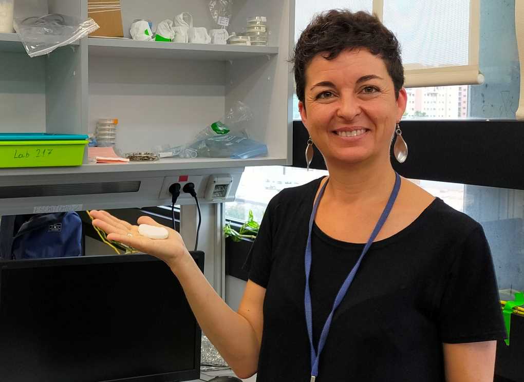 amparo lopez aerogel
