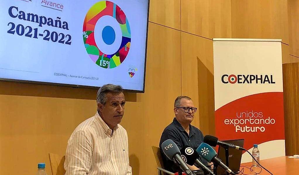 avance campaña