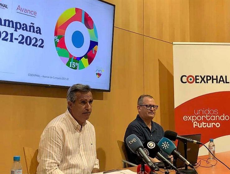 avance campaña