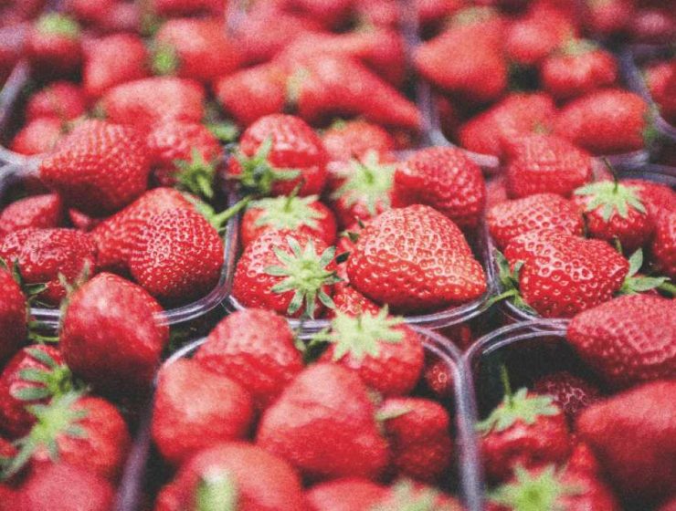fresas