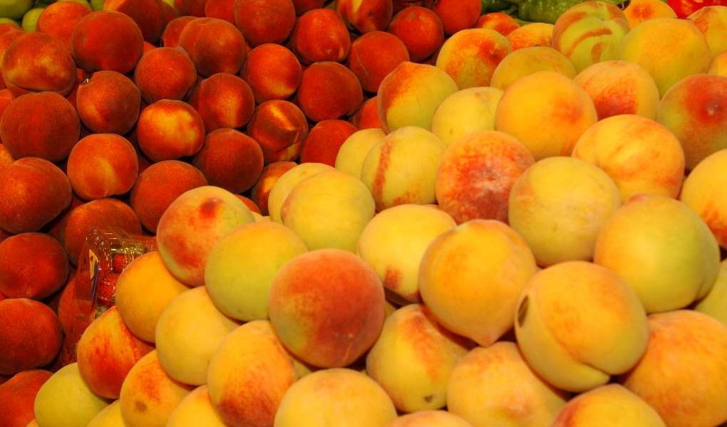 fruta