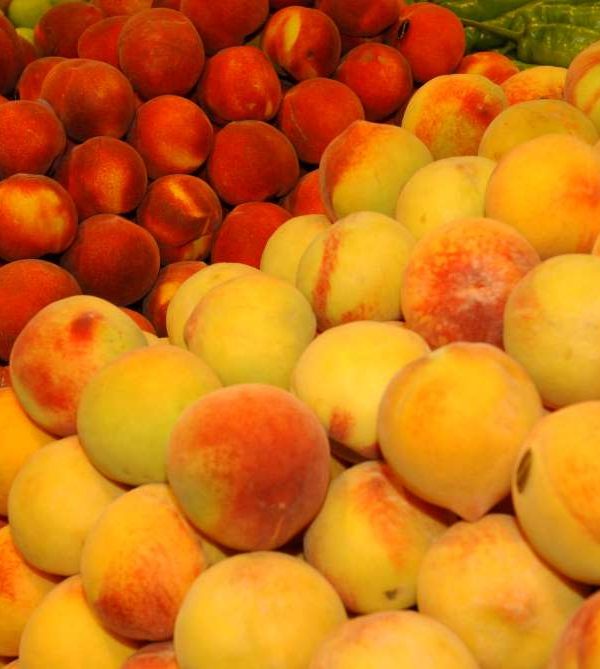 fruta
