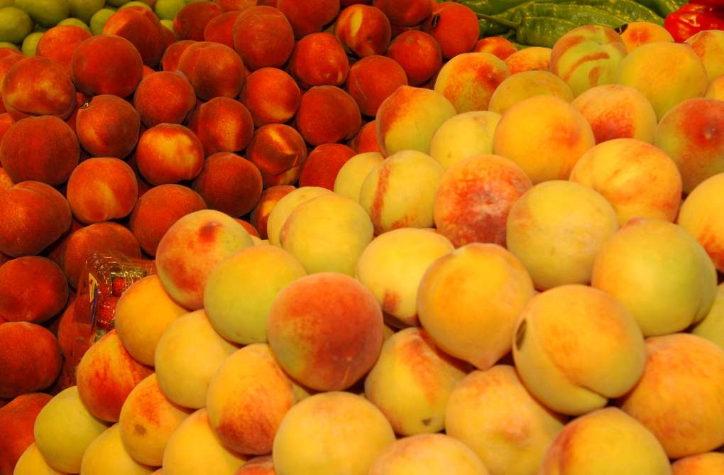 fruta