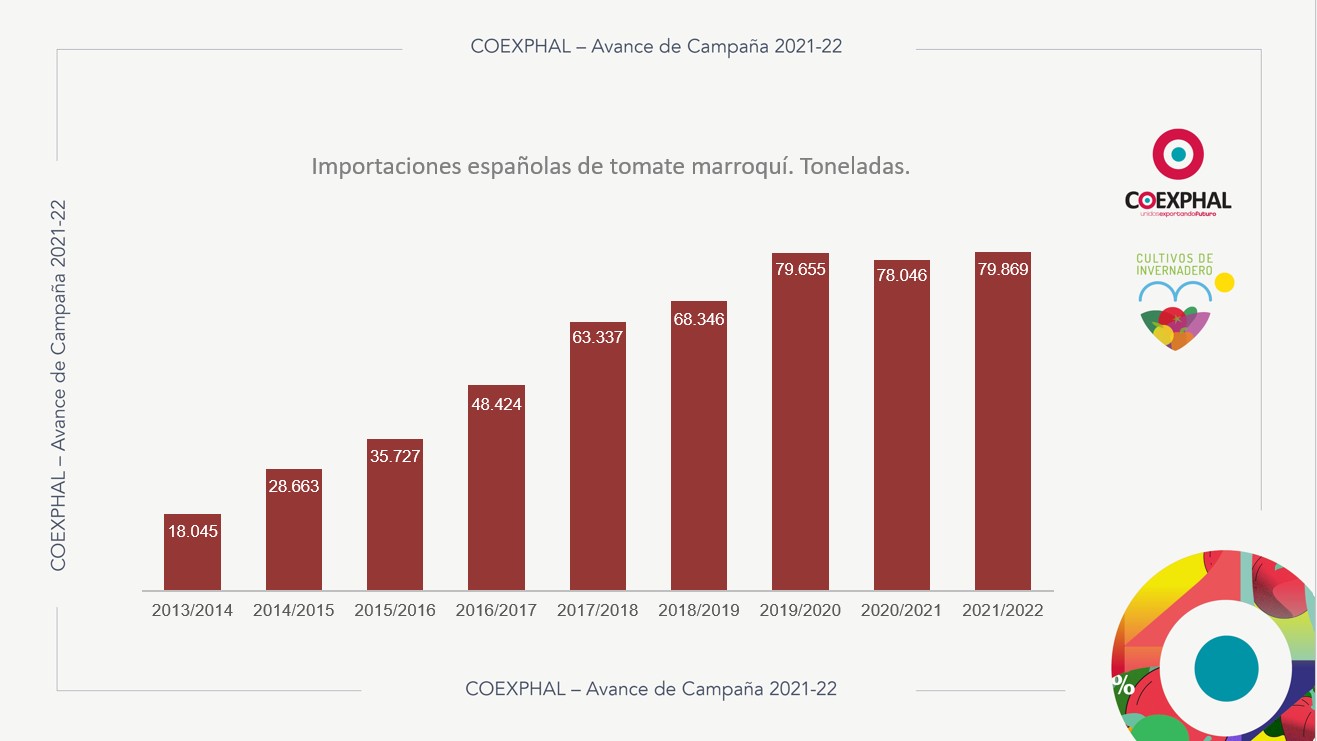 importación tomate Marruecos