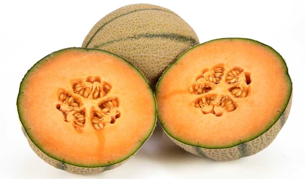 melón cantaloup Nunhems