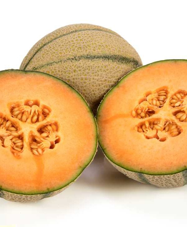 melón cantaloup Nunhems