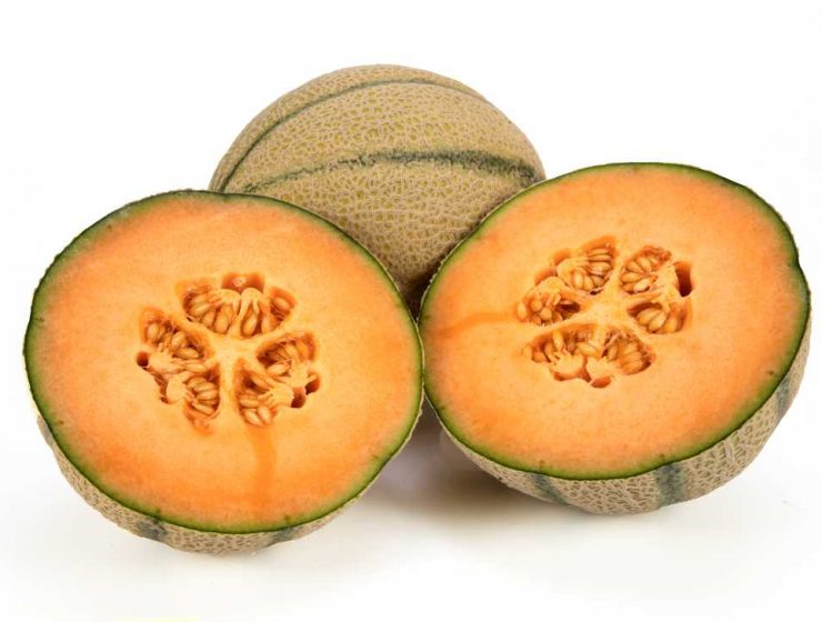 melón cantaloup Nunhems