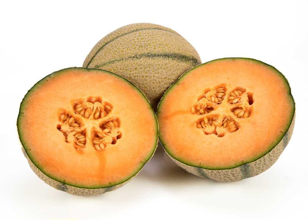 melón cantaloup Nunhems