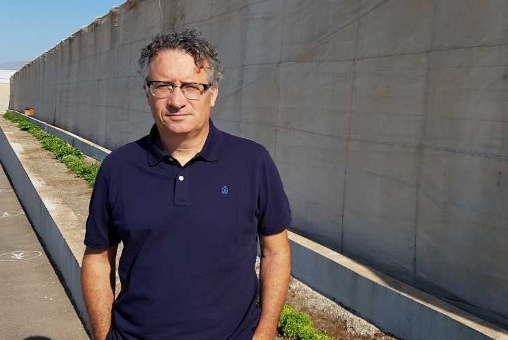 Francisco petit Geslive