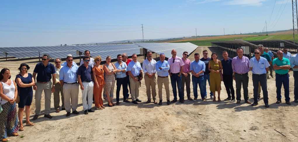 Inauguración Primera planta fotovoltaica de la Comunidad de Regantes Costa Noroeste de Cádiz-1