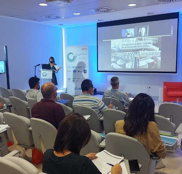 seminario aguas anterior
